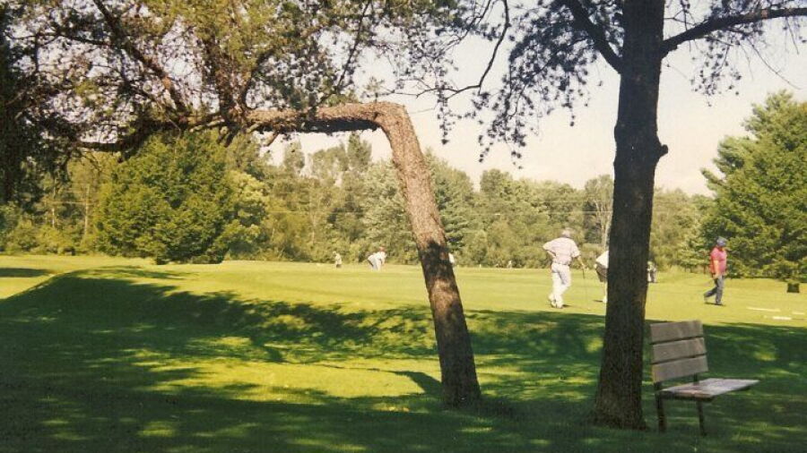 Bent Pine GC