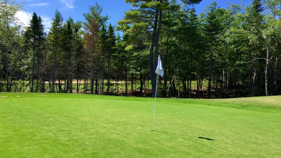 Aspotogan Ridge GC: #4