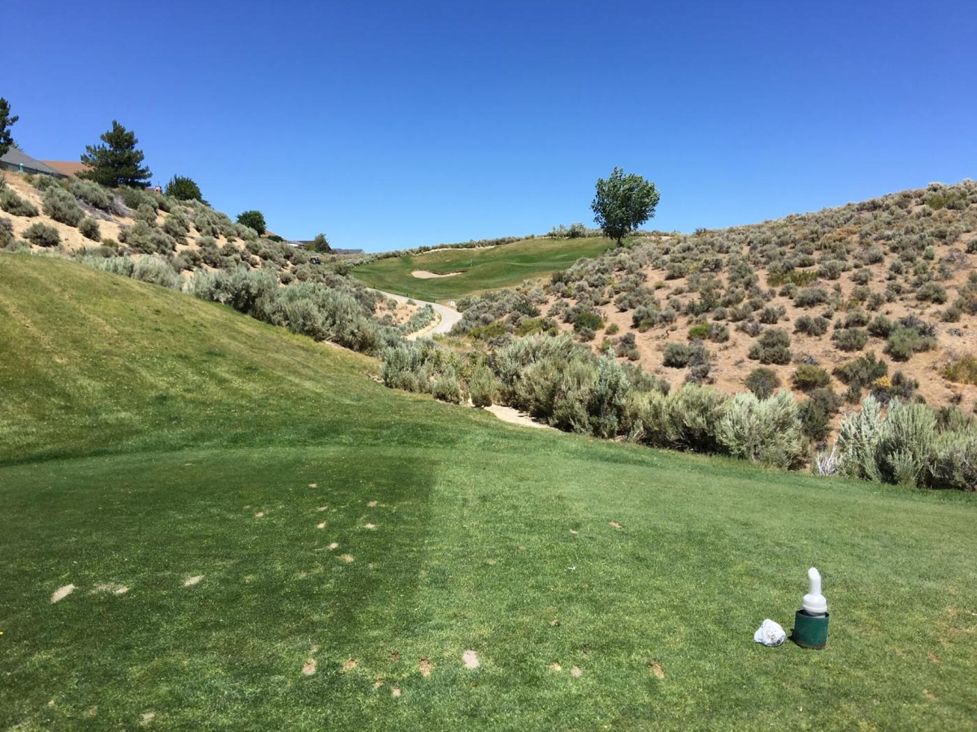 Tricky up hill shots (Photo submitted by Cops1998 on 07/14/2019)