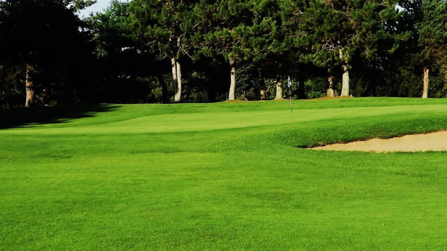 Paragon GCC