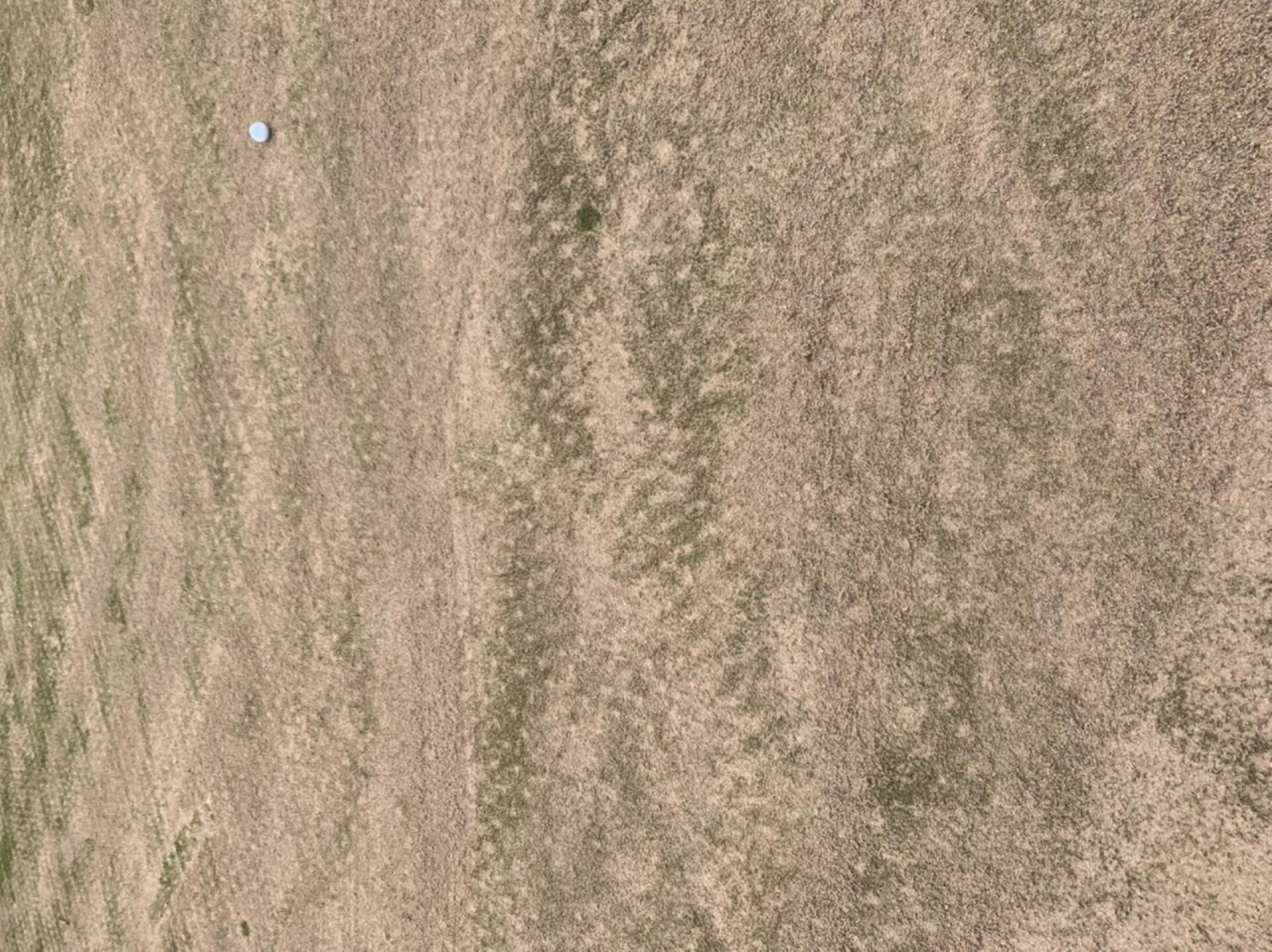 (Photo submitted by u314160456477 on 08/11/2020)