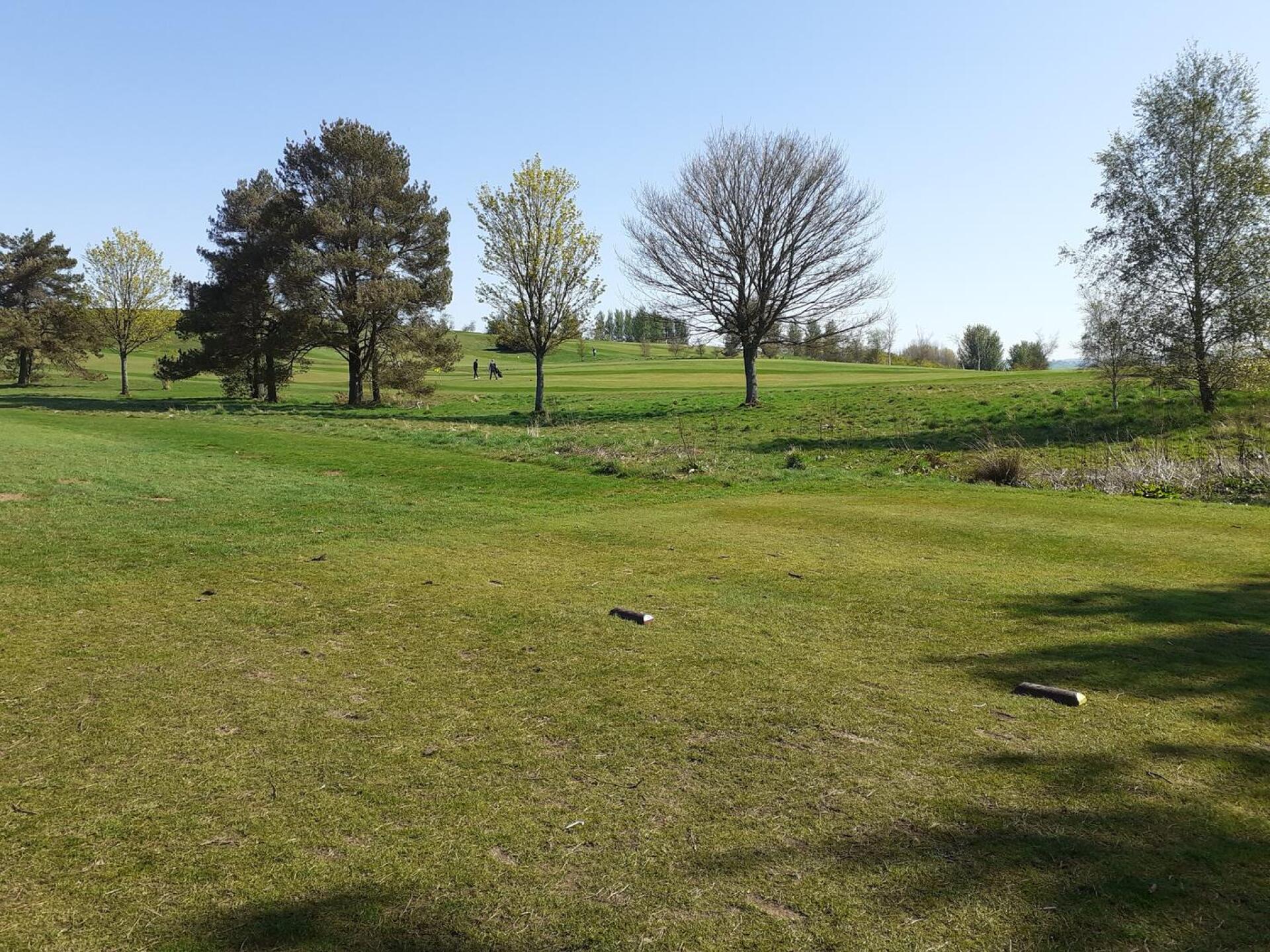 (Photo submitted by pKkDjZSSwuu9c9UEAjYK on 04/25/2025)