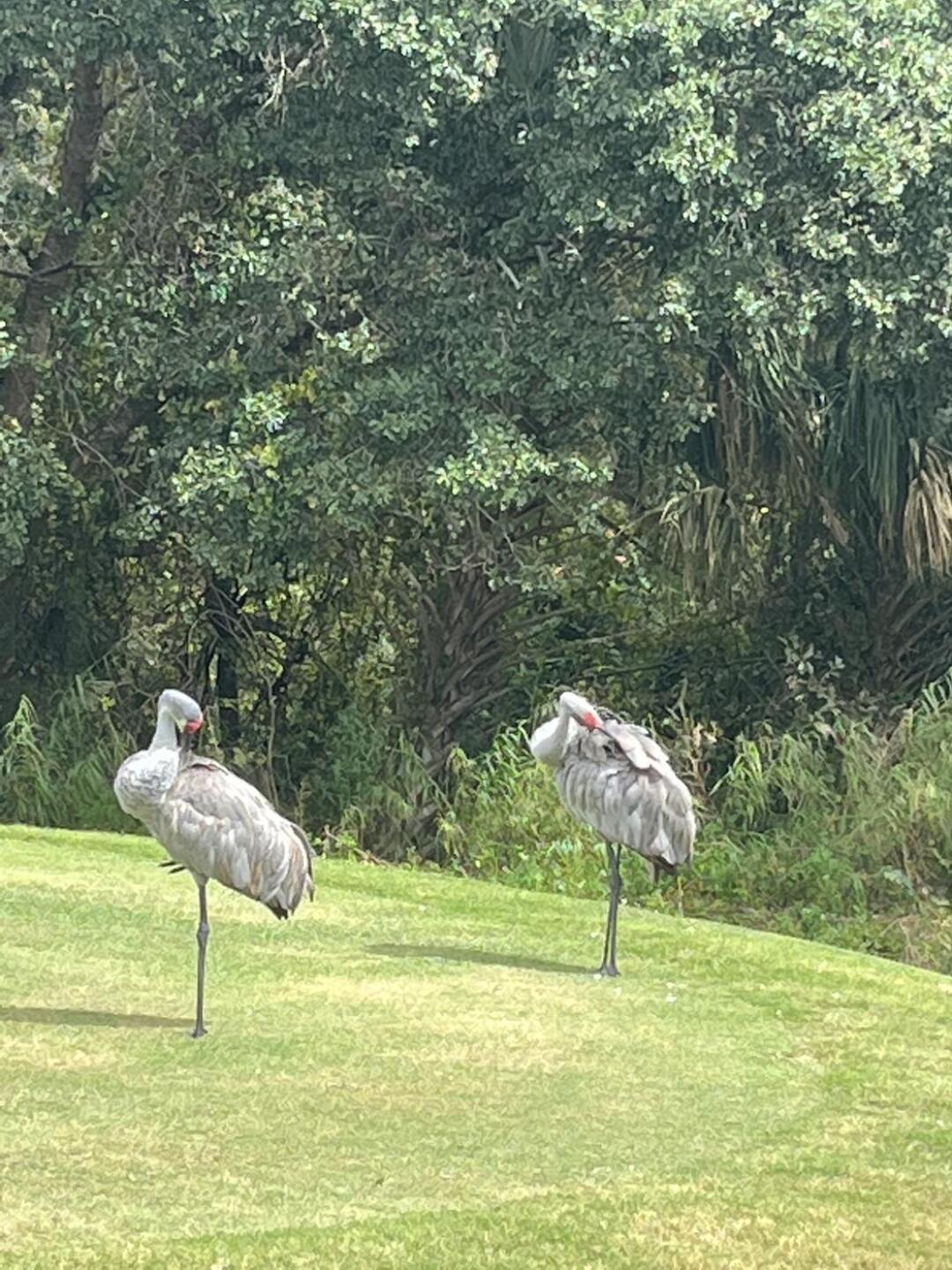 (Photo submitted by bturps on 10/13/2022)