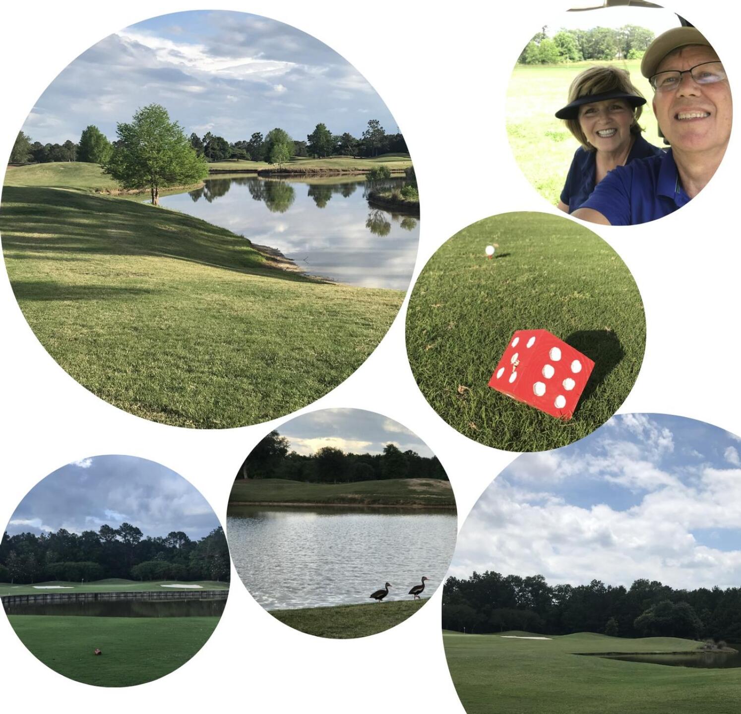 (Photo submitted by u314163833505 on 05/18/2023)