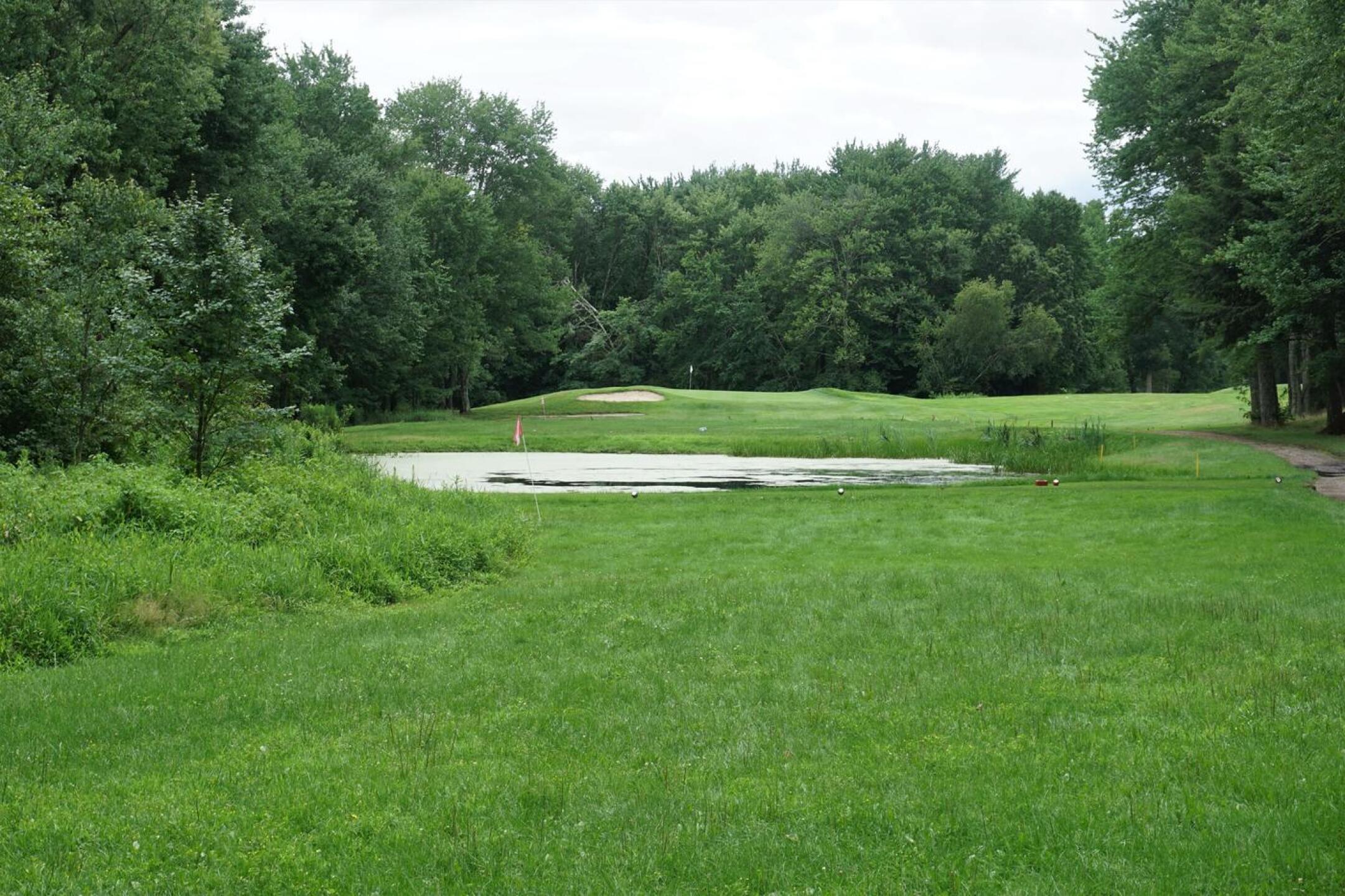 Fifth: Short but narrow par-4 with a water hazard. (Photo submitted by AptlyLinked on 07/21/2021)