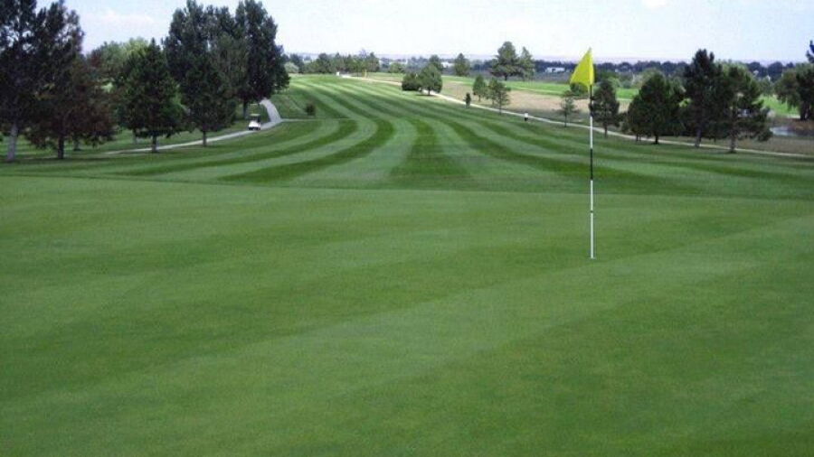 Tamarack GC