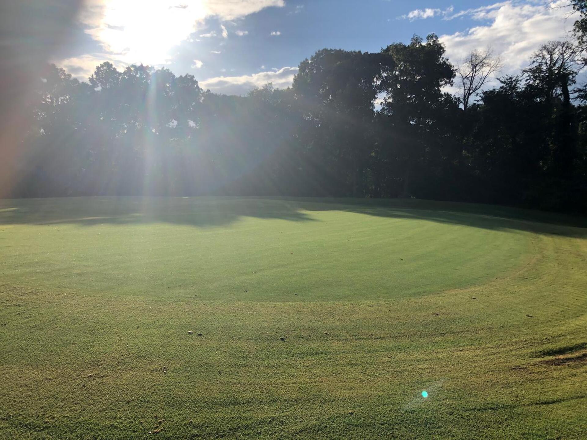 (Photo submitted by u295804475 on 08/10/2020)