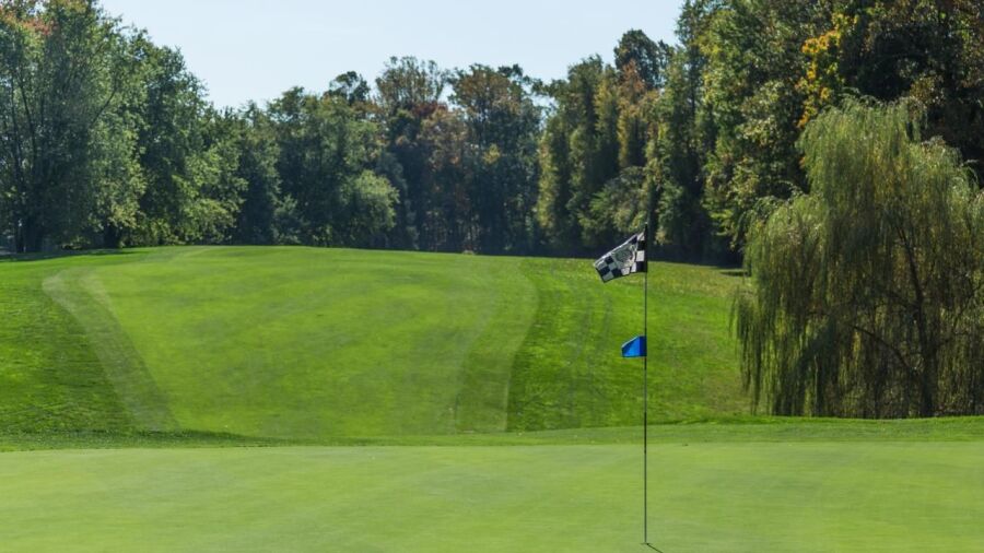Argyle CC: #15