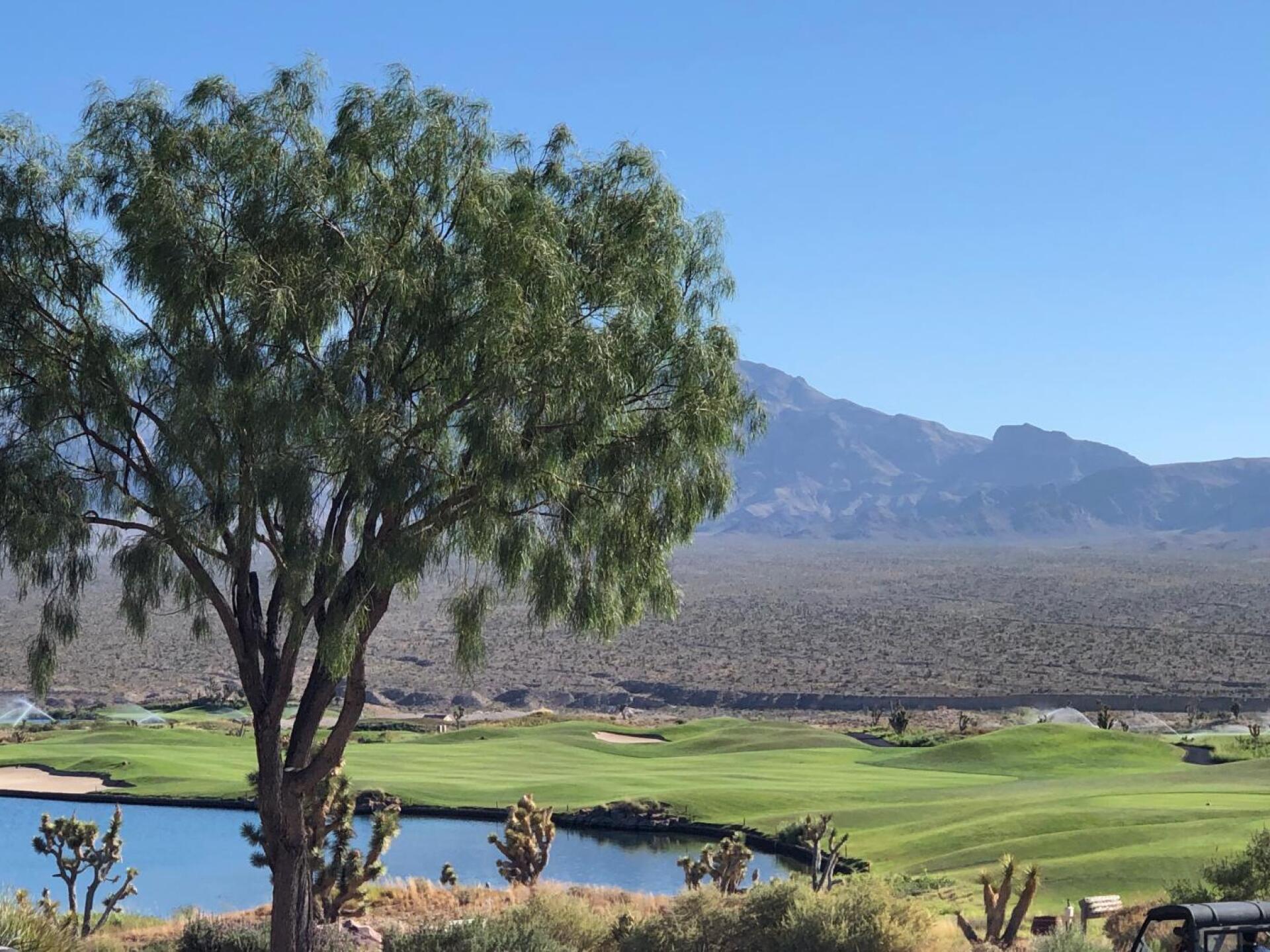 (Photo submitted by u314159357072 on 07/04/2019)