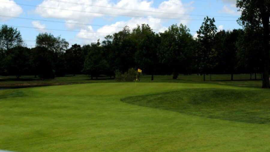Golden Hawk GC