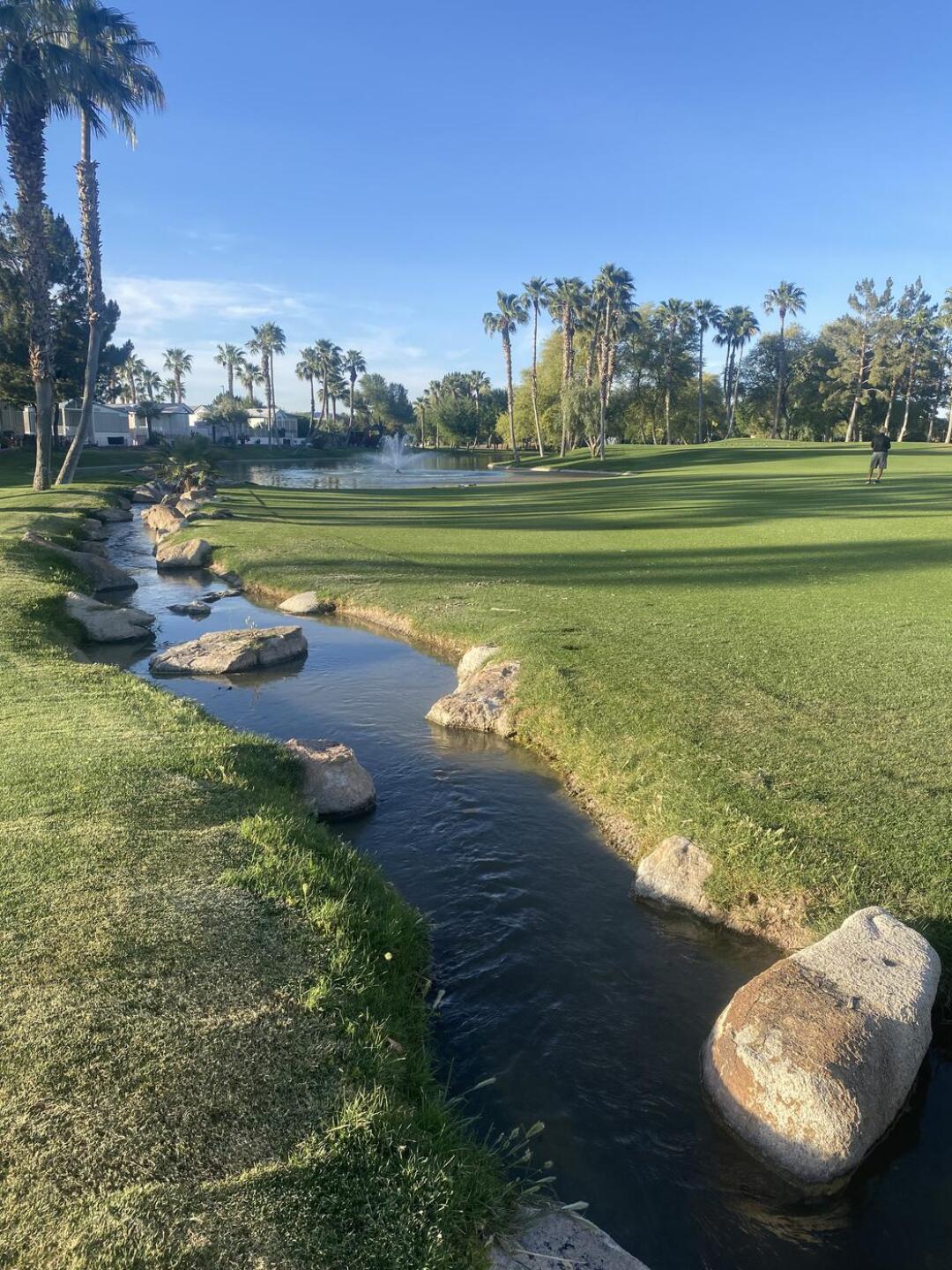 (Photo submitted by JulieC9777 on 04/22/2023)