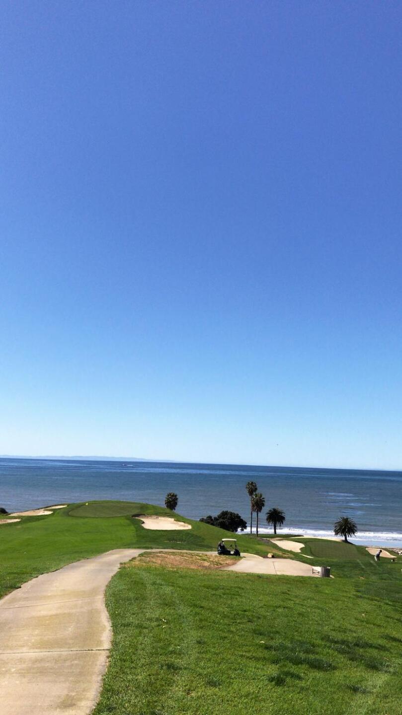 (Photo submitted by DanChelius on 04/12/2018)