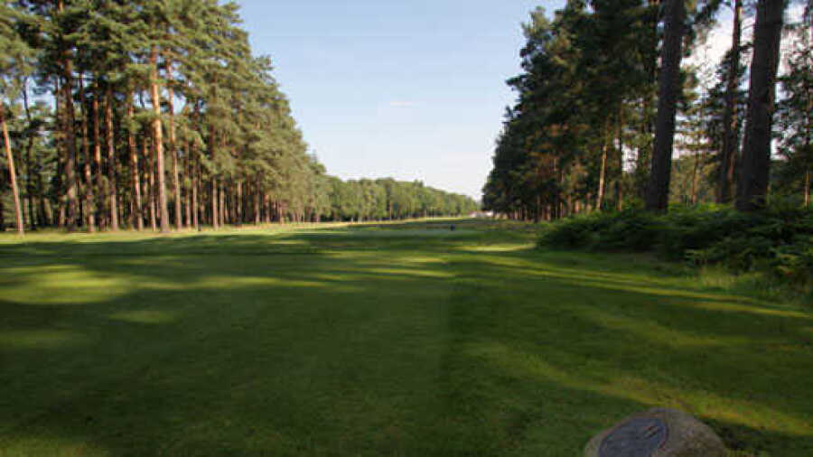 Woking GC: #14