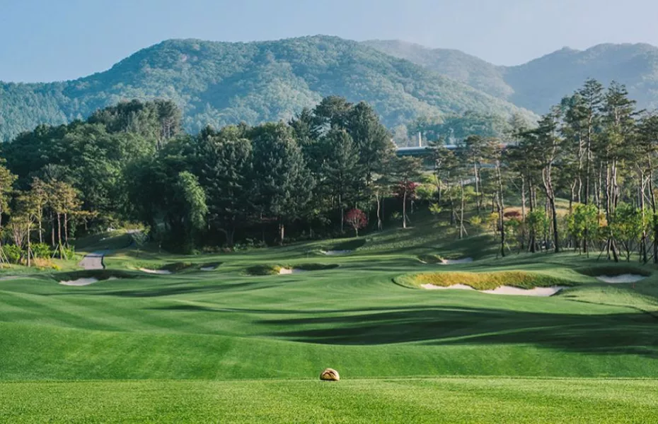 Sagewood Hongcheon - Vision: #9