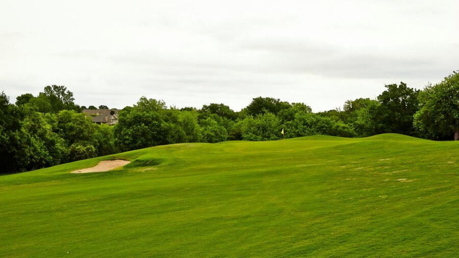 Wildflower CC: #5