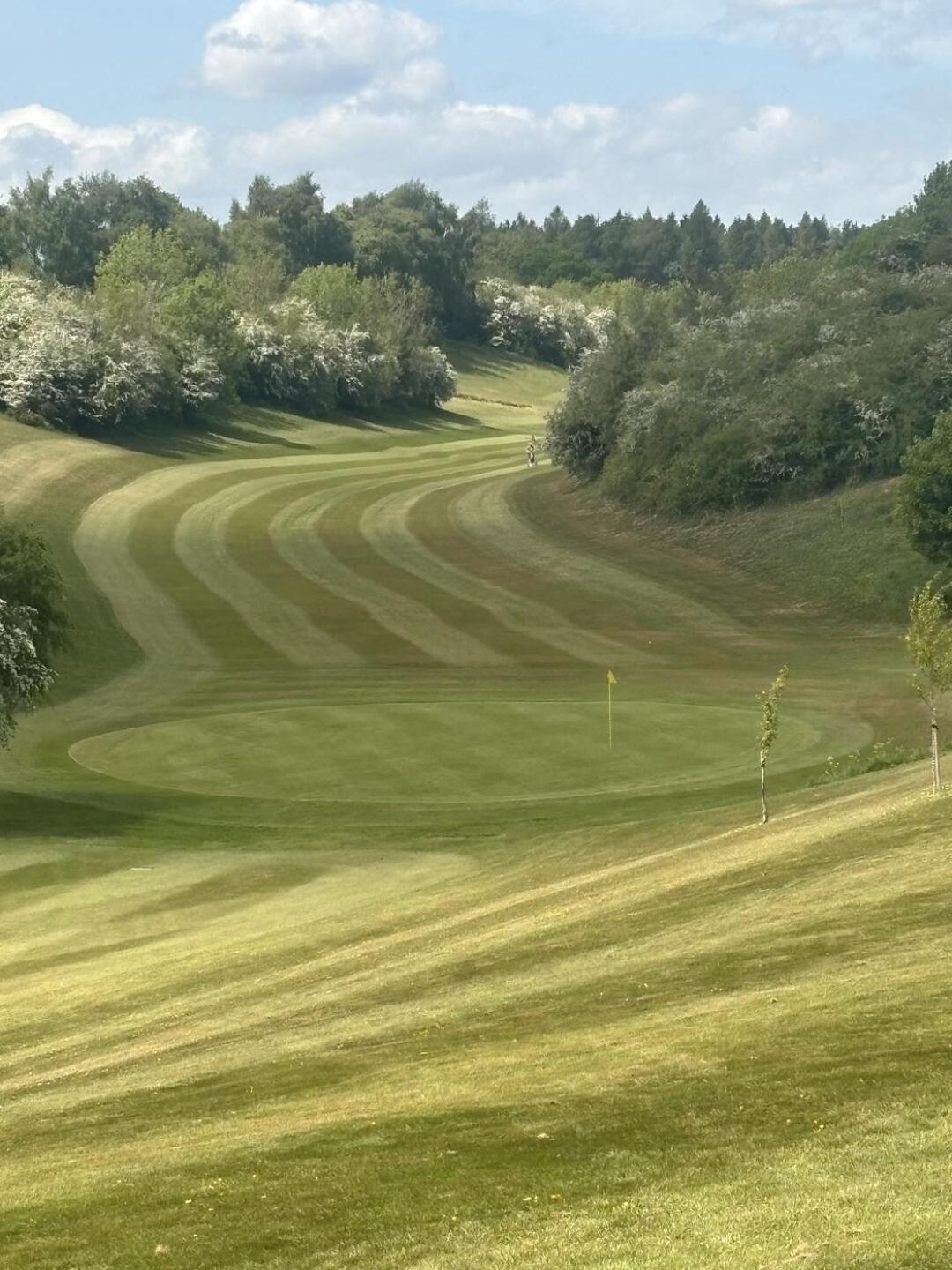 (Photo submitted by Fozza on 05/25/2025)