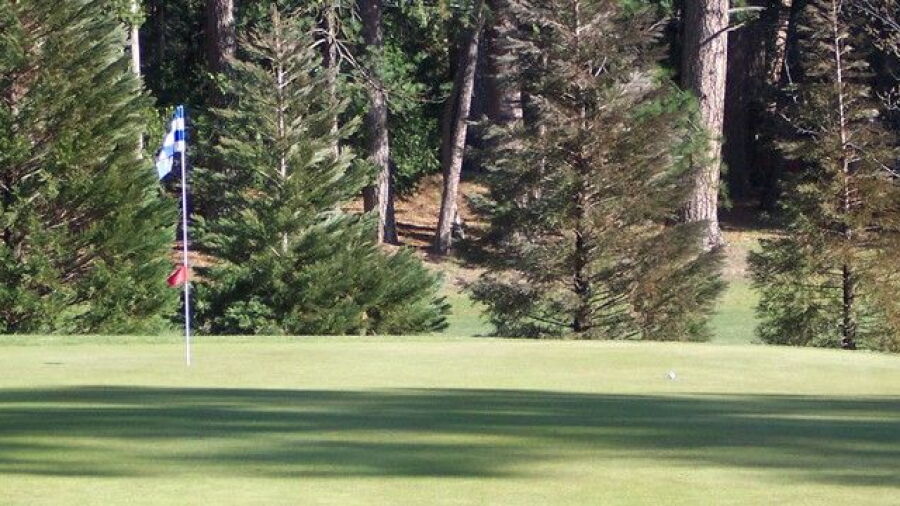 Twain Harte GC: #6
