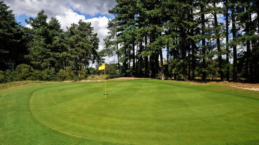  Bixley at Ipswich GC: #5