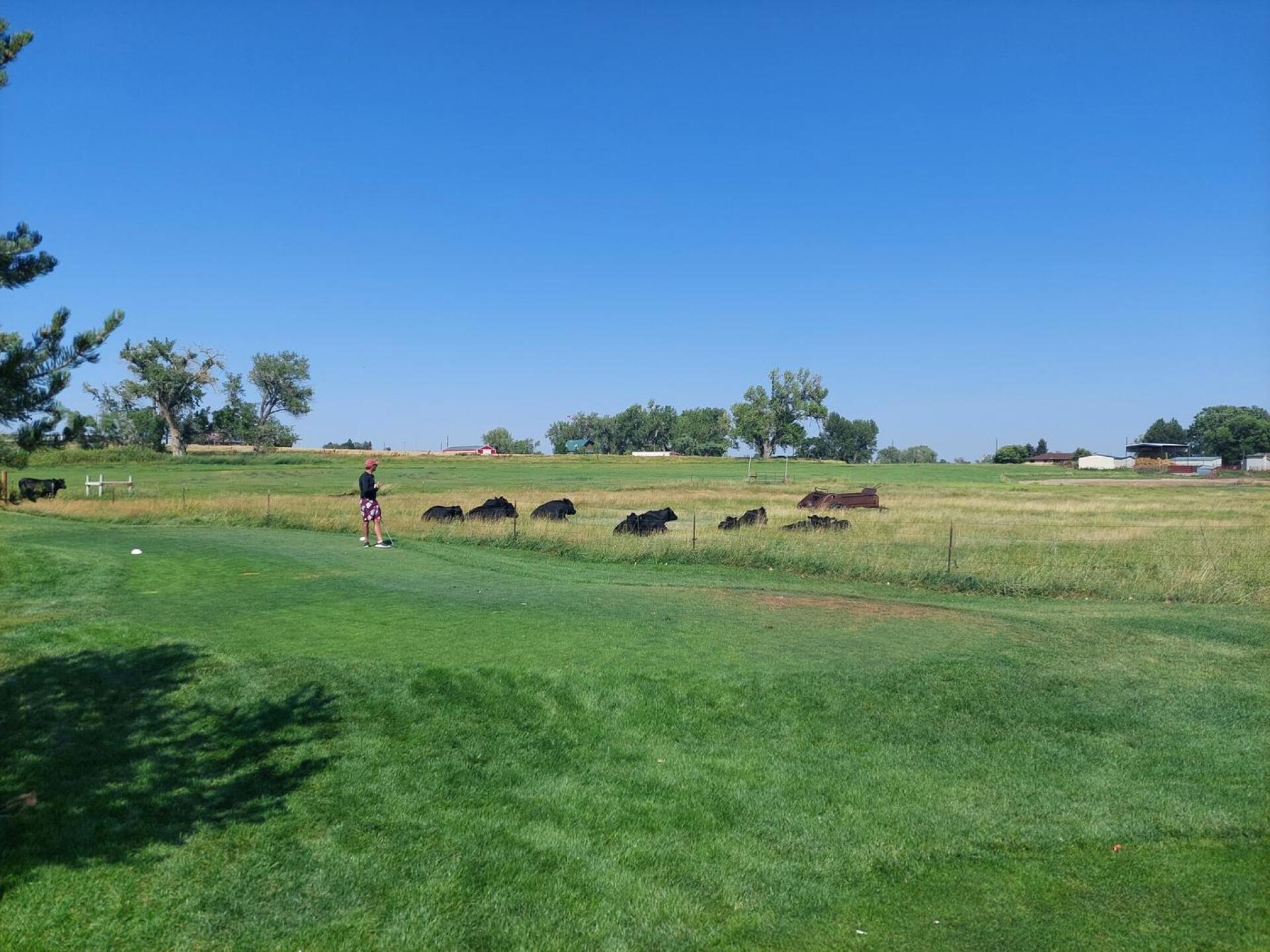 (Photo submitted by Golf4winn on 10/13/2021)