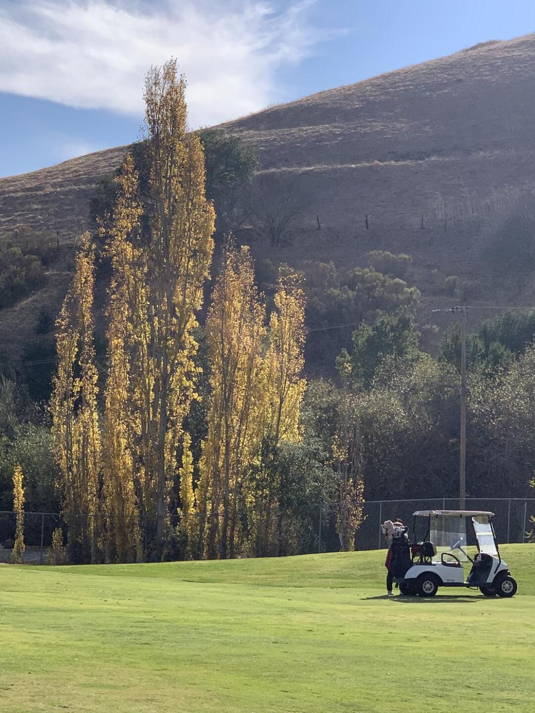 (Photo submitted by conniestraub on 11/12/2020)