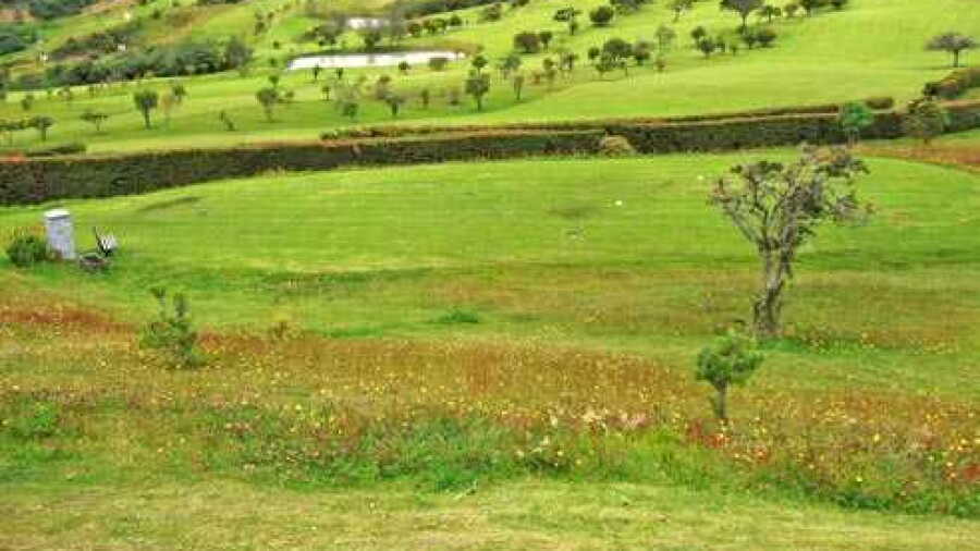 La Cima GC: #15