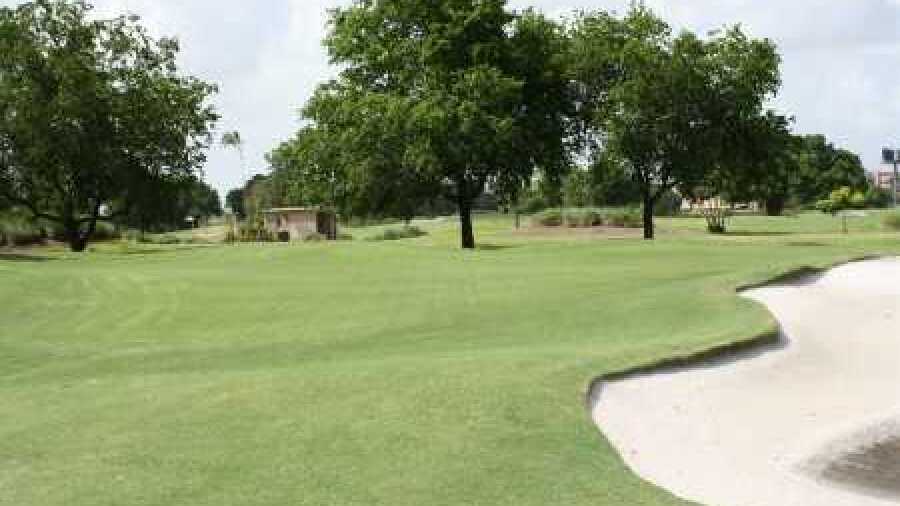 Davie GCC