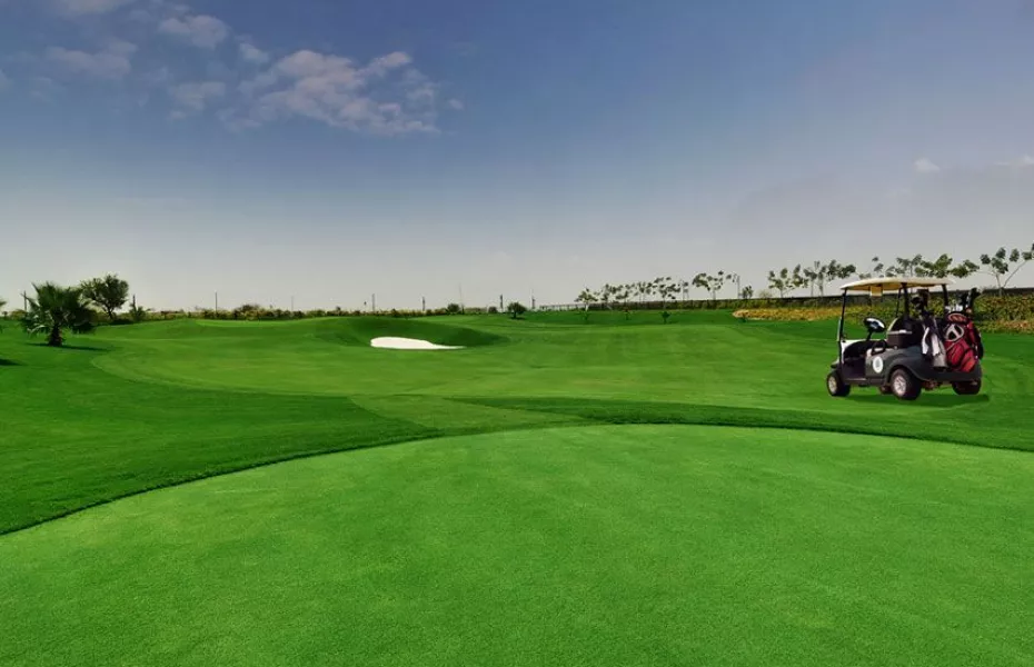 Kalhaar Blues & Greens GC: #11