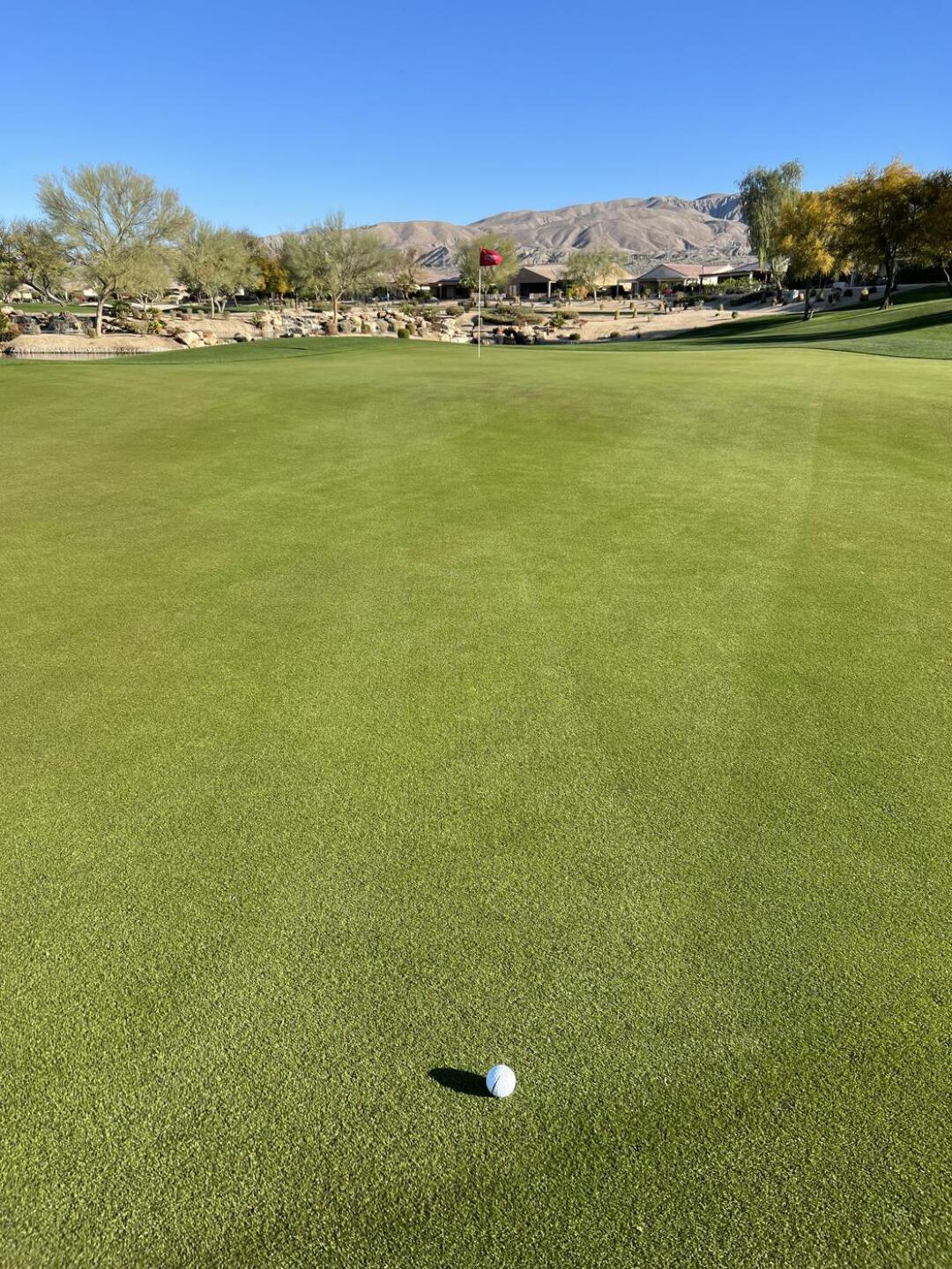 (Photo submitted by u000005421492 on 03/06/2022)