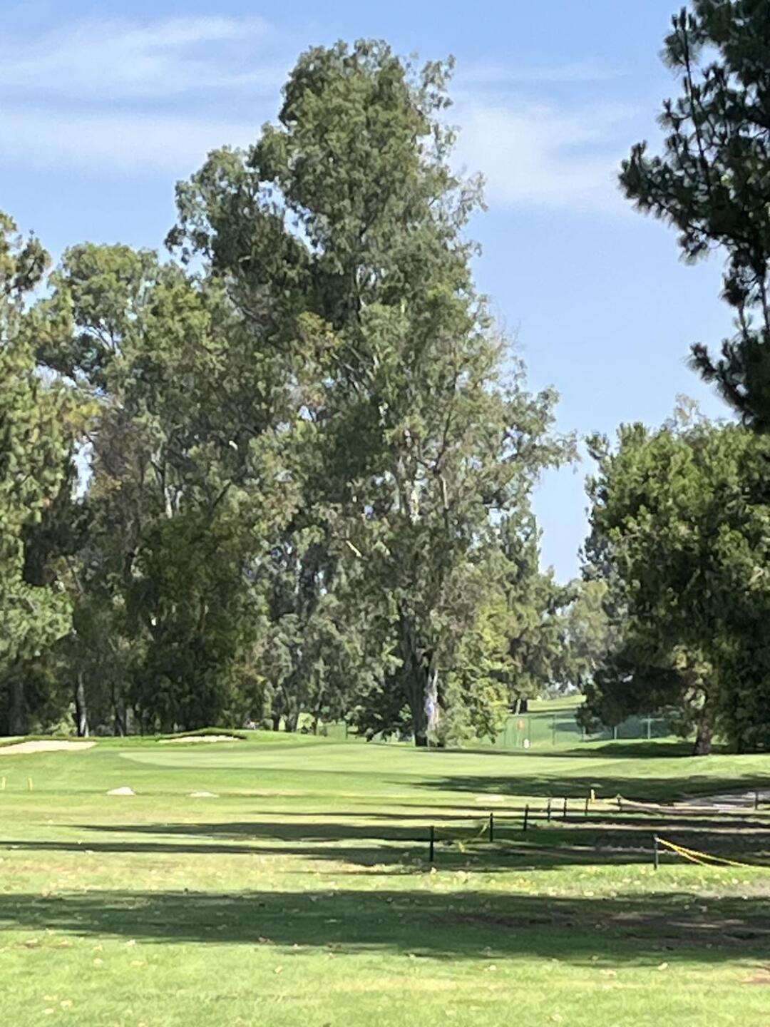 (Photo submitted by u018507495 on 06/24/2025)