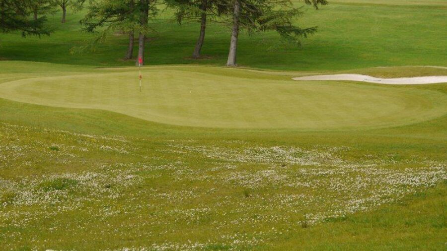 Williamwood GC