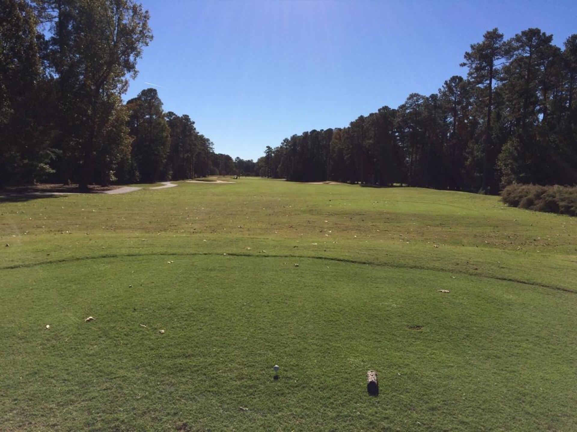 Typical hole from the tee box. (Photo submitted by edkopp on 11/08/2016)