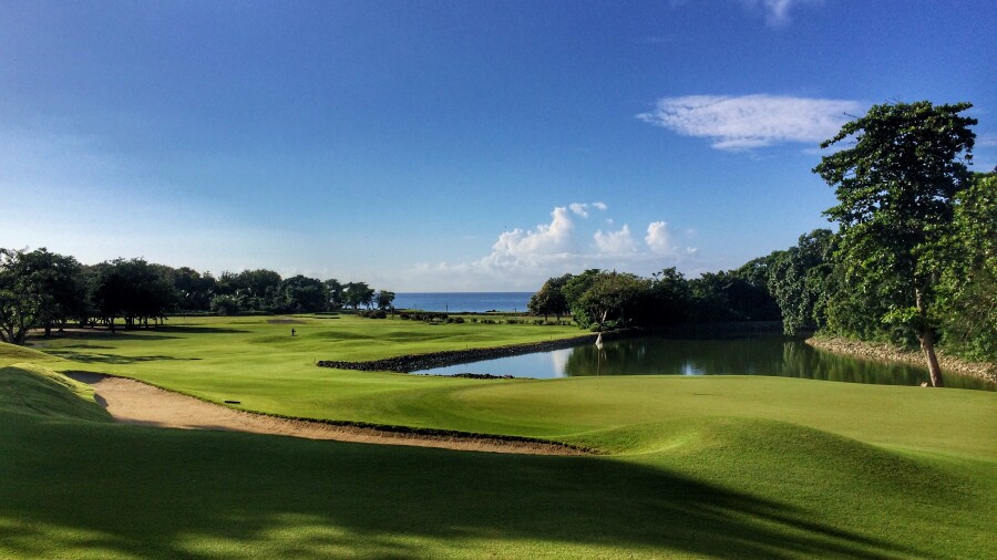 Teeth of the dog at Casa De Campo - No. 18