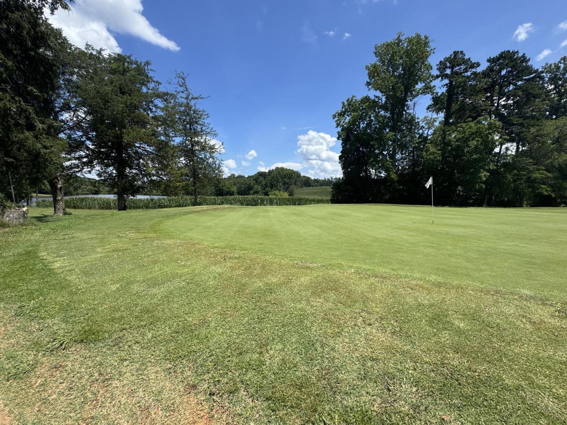 (Photo submitted by u278678895 on 07/19/2025)