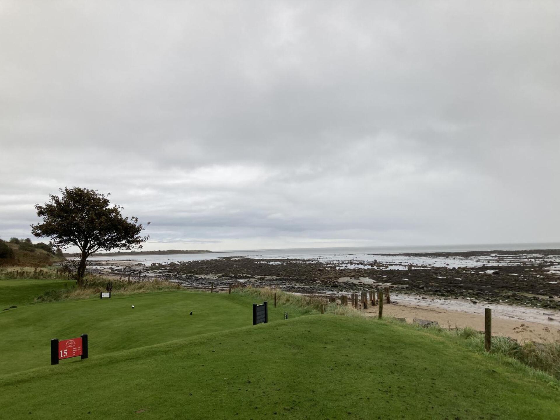 (Photo submitted by GeiBdpKf8fmOspRaqmH0 on 10/08/2023)