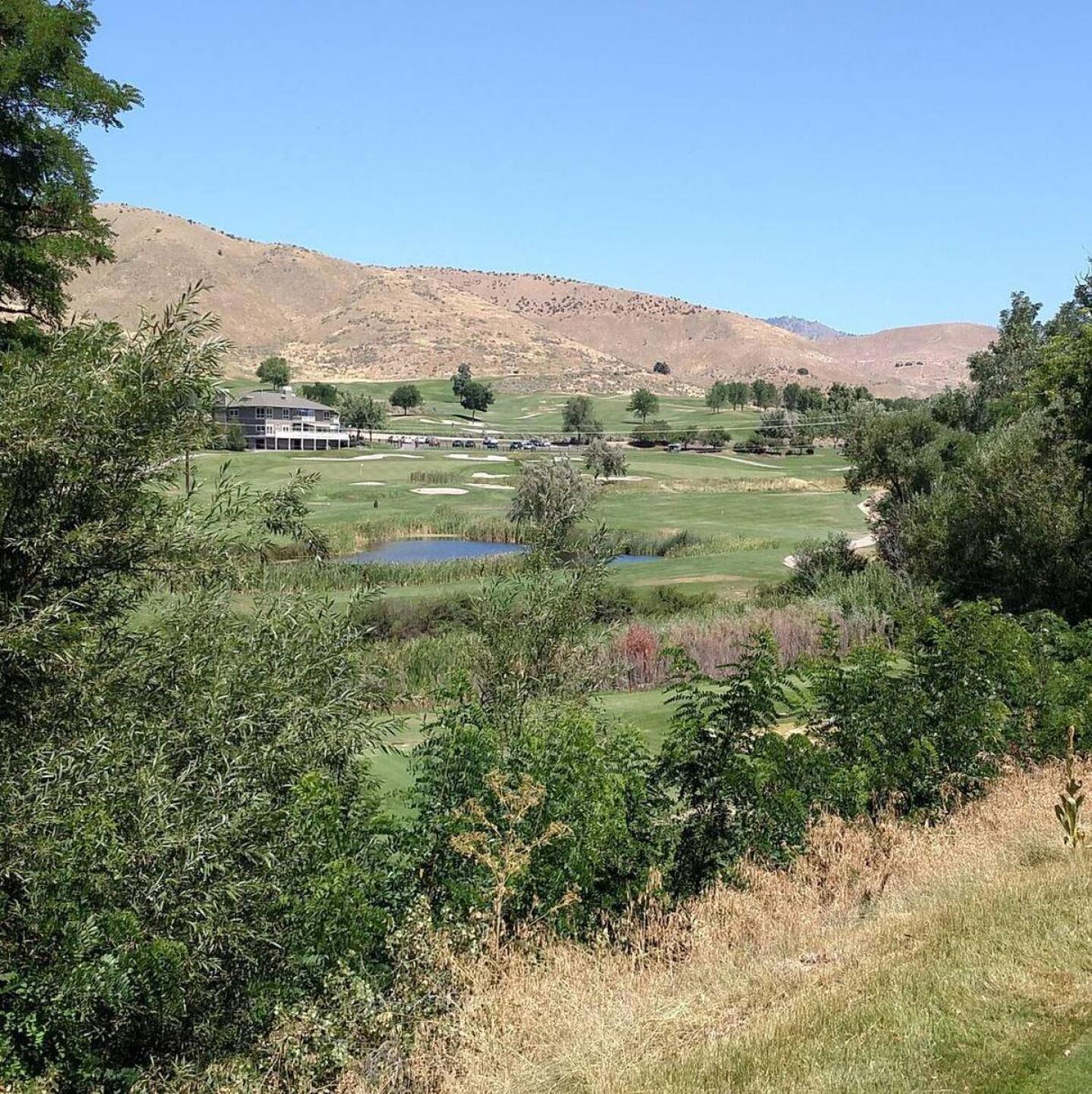 Tucked away on the hillside the blue tees on #5 completely change how the hole is played (Photo submitted by sorenj on 07/23/2017)