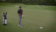 Bad Swing Faults