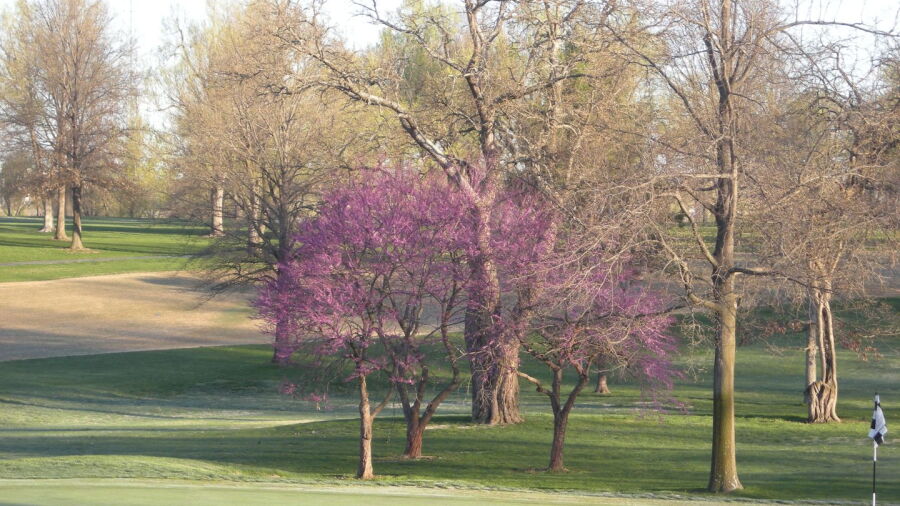 Twin Oaks CC