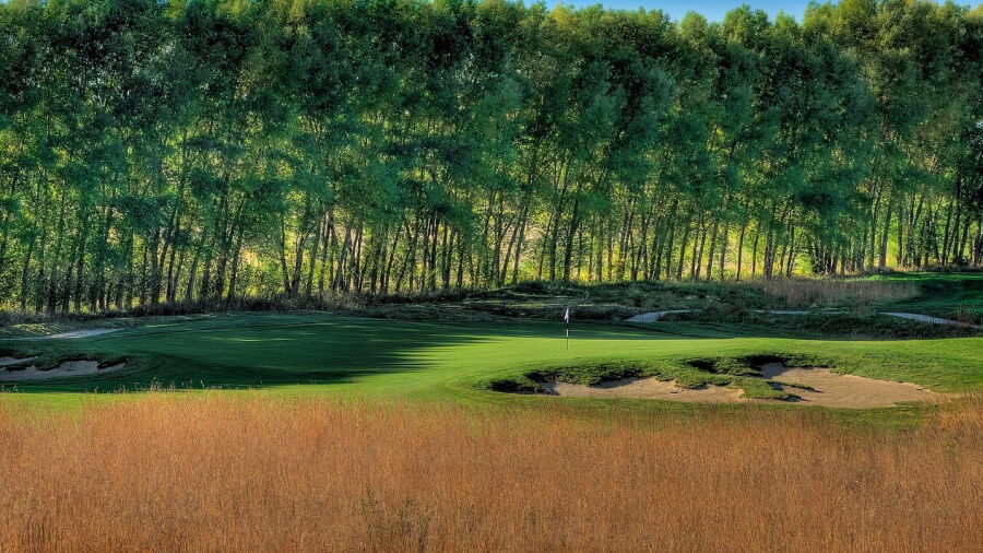 Black Sheep GC