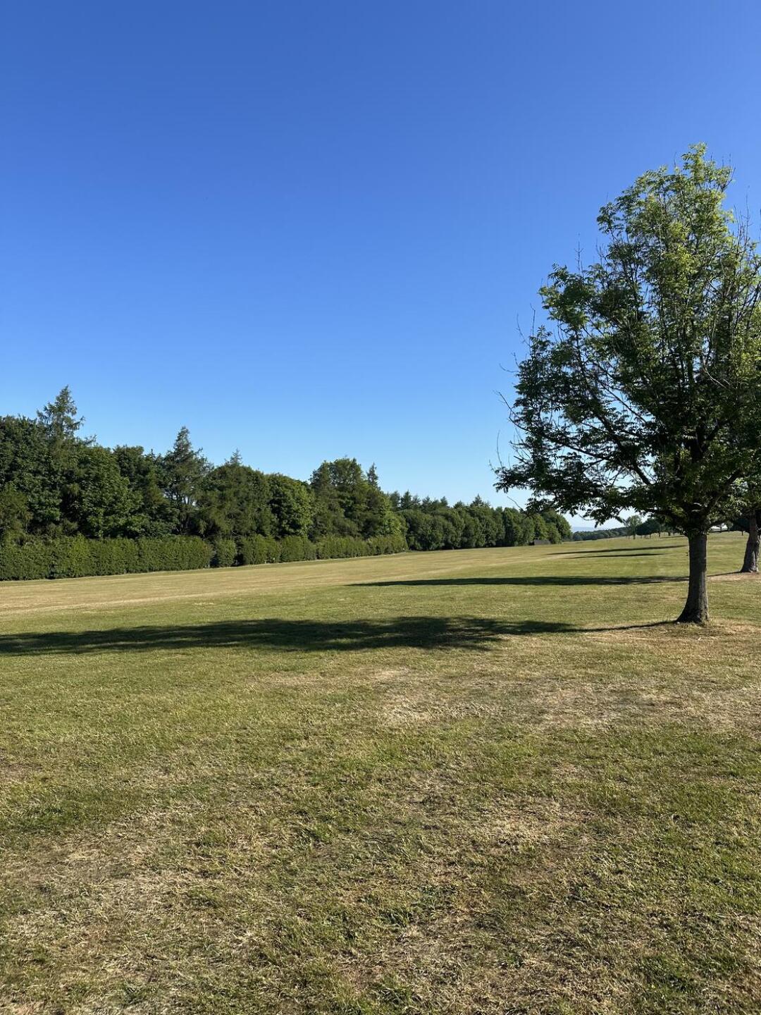 (Photo submitted by Rian1916 on 05/24/2025)