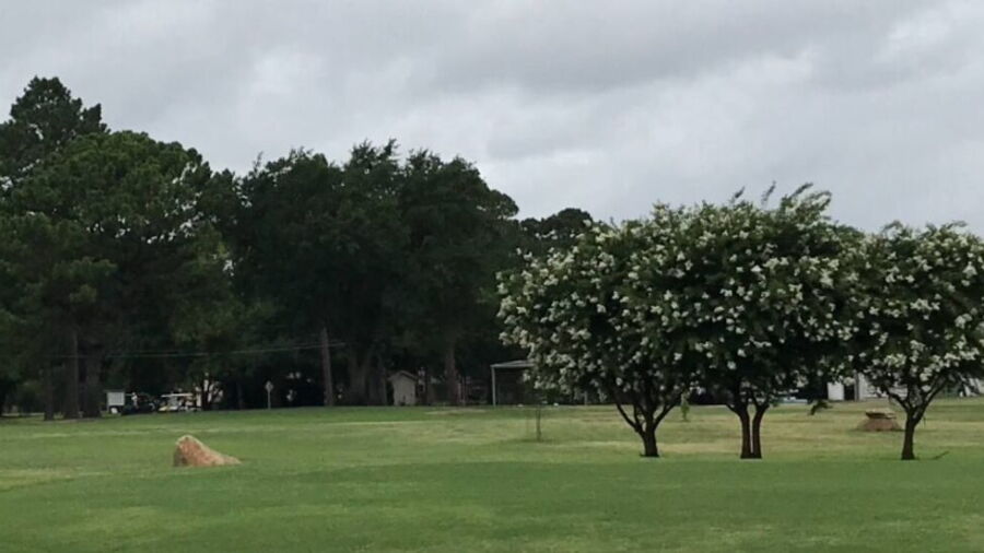 Star Harbor Municipal GC
