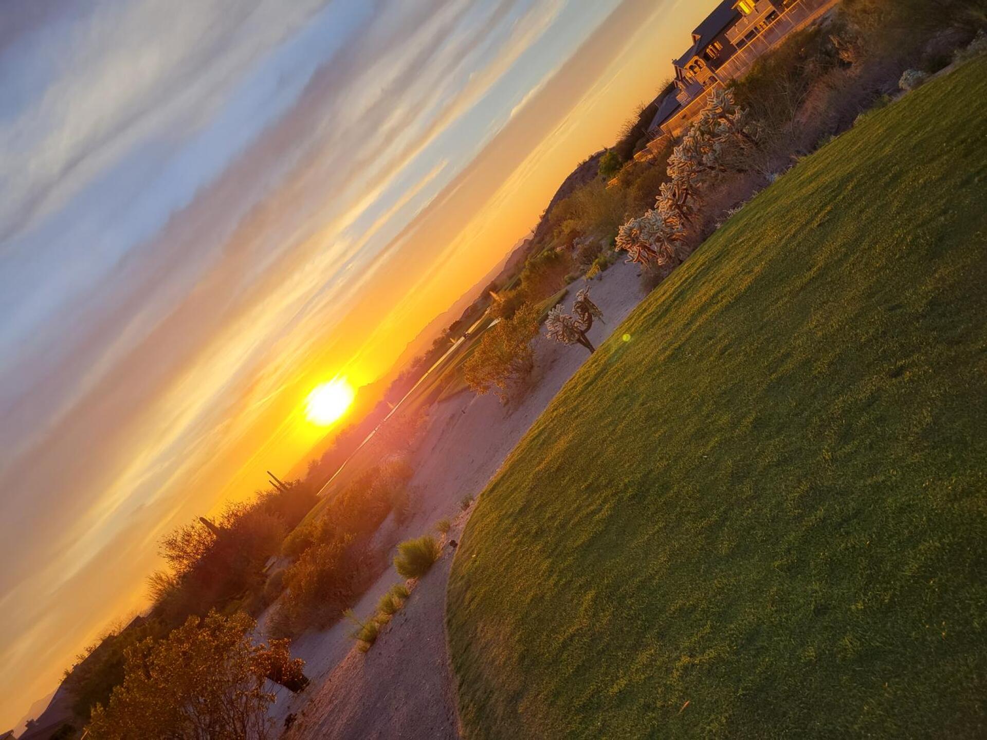 Amazing (Photo submitted by u000007643820 on 04/06/2021)