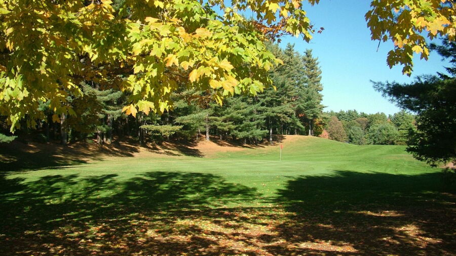 Cedar Knob GC: #8
