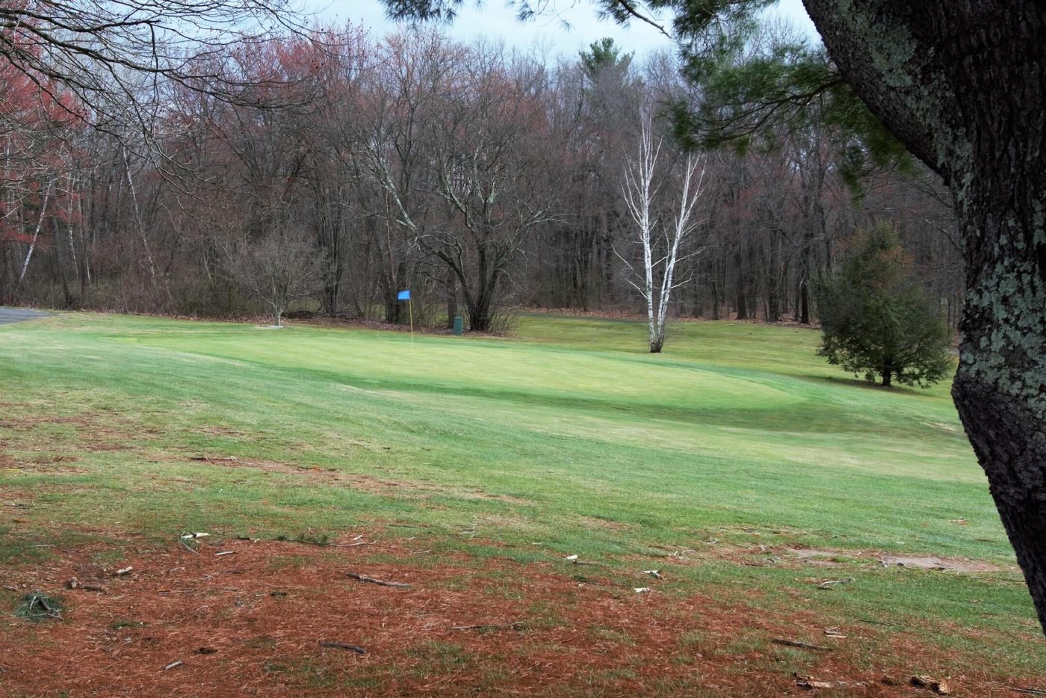 Green seventeen may not look like much here, but its slope is wicked. (Photo submitted by AptlyLinked on 04/12/2022)