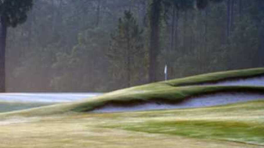 WildeWood CC