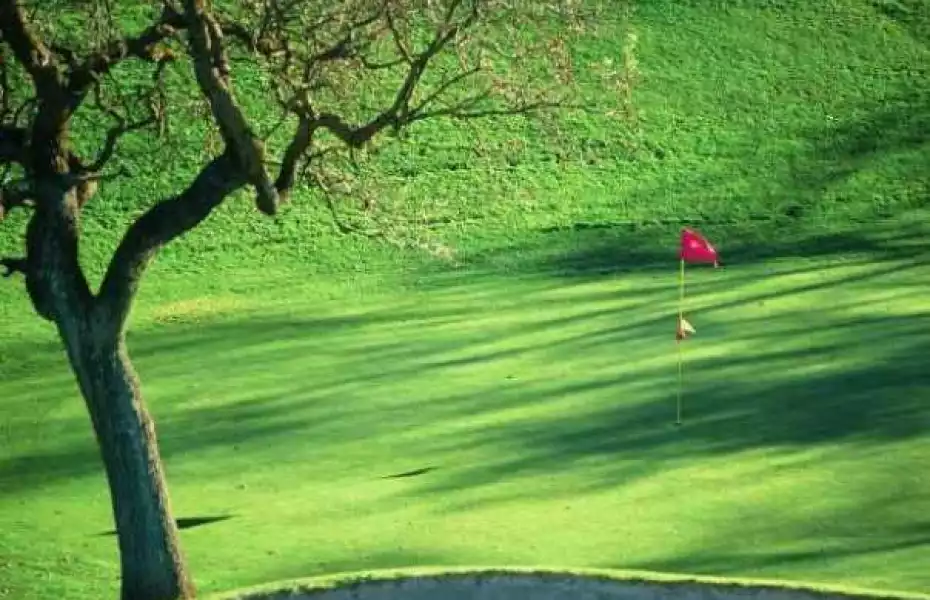 Cypress at Sunol Valley GC: #10