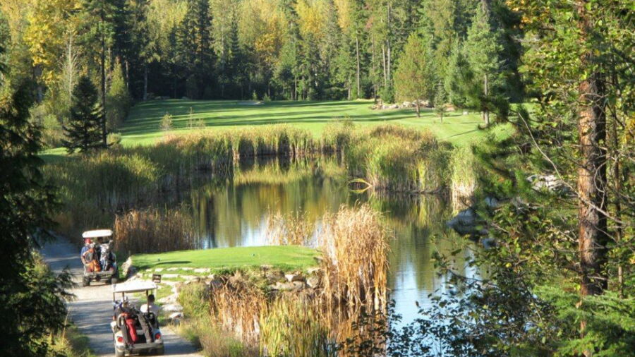 Priest Lake GC: #13