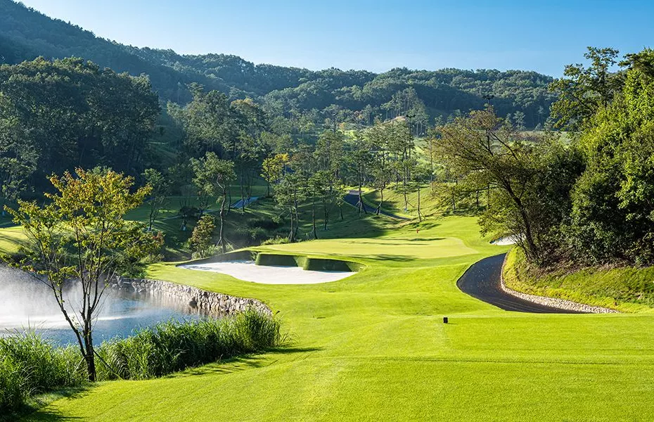 Ray Castle Golf & Resort - Sejong