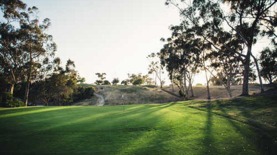 Goat Hill Park: #9