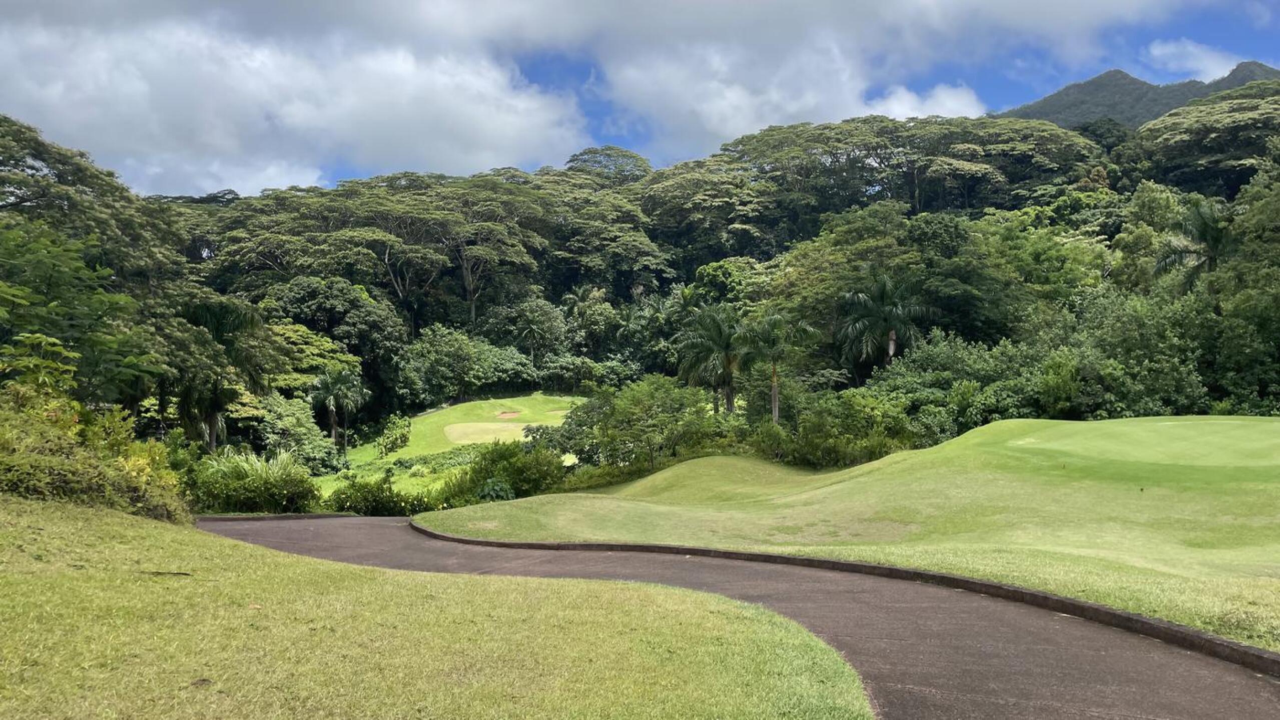 (Photo submitted by u092366548 on 07/24/2024)