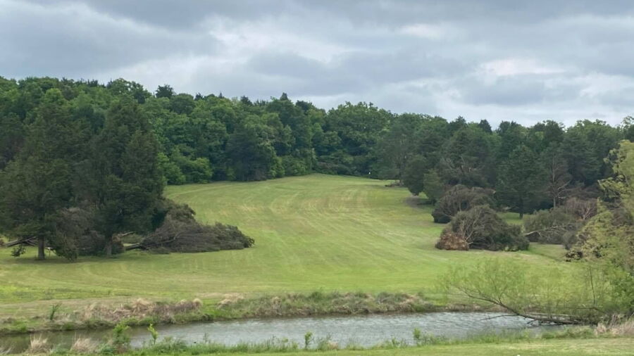 Cedars CC: #3